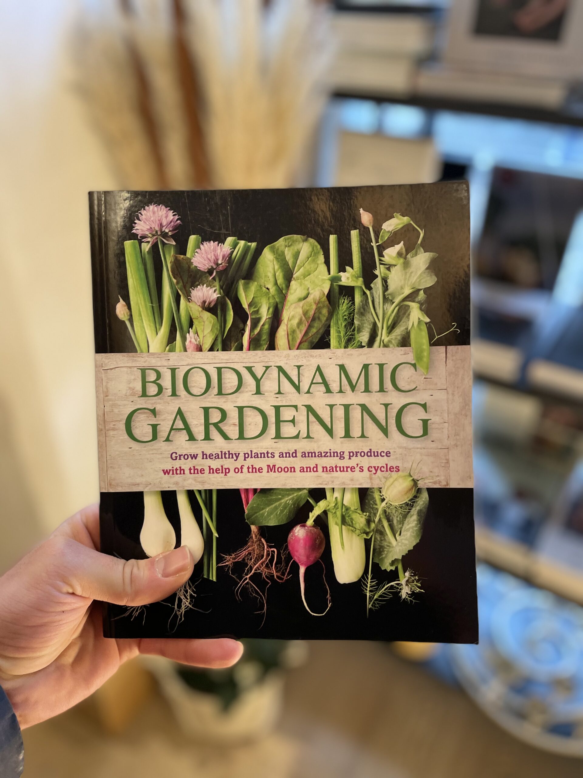 Biodynamic Gardening – Senatorių Pasažas