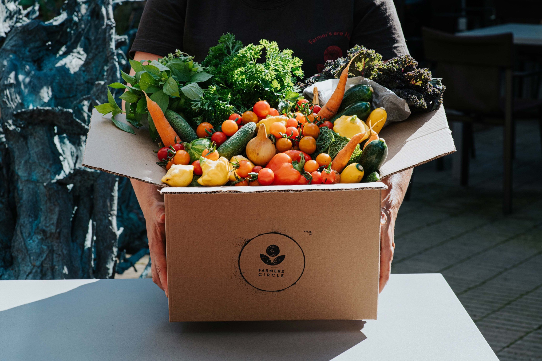 Order a medium vegetable box subscription